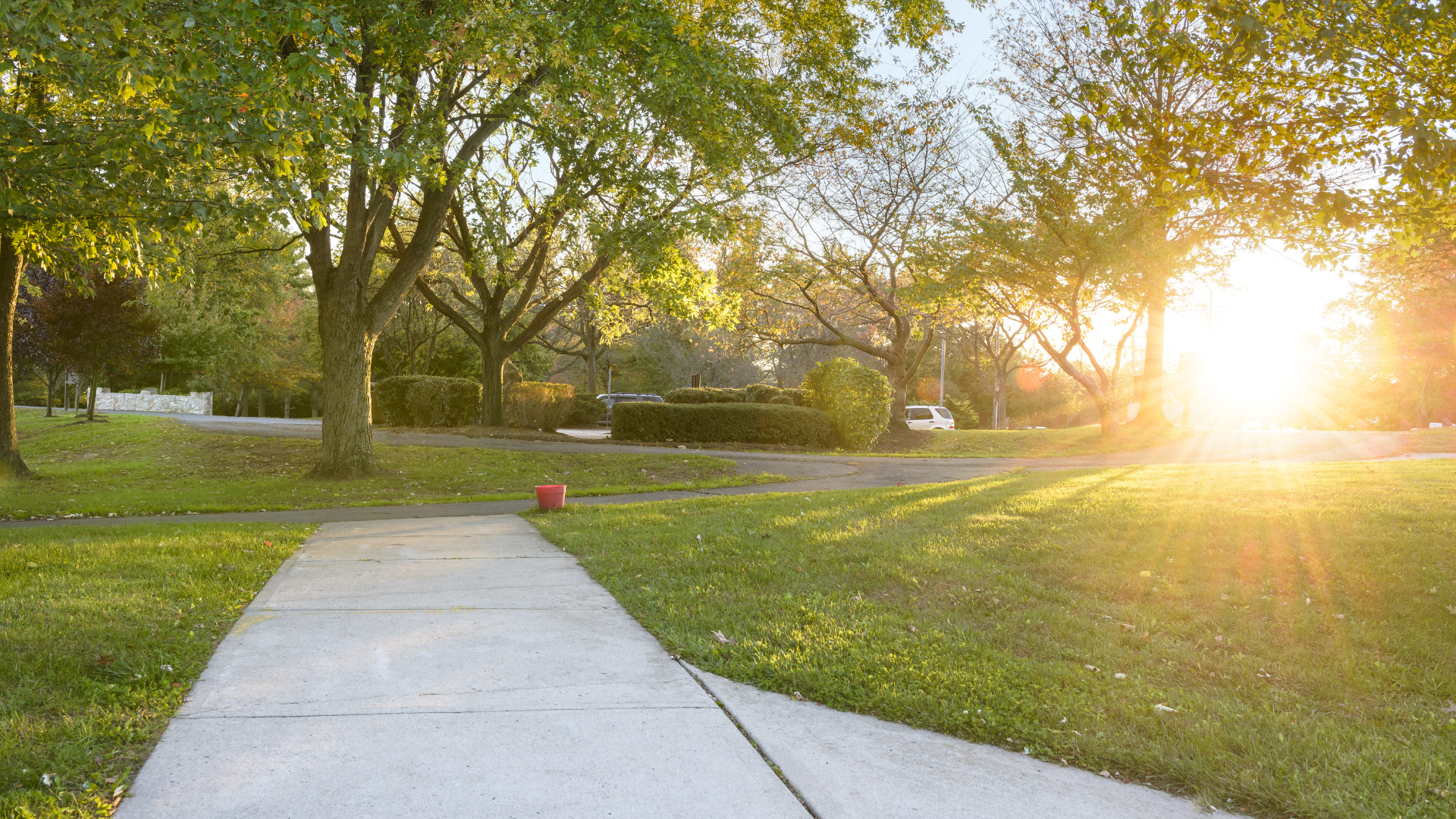 the sun is shining through the trees on a sidewalk in a park