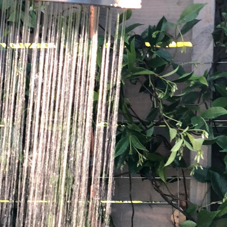 A shower head with water coming out of it