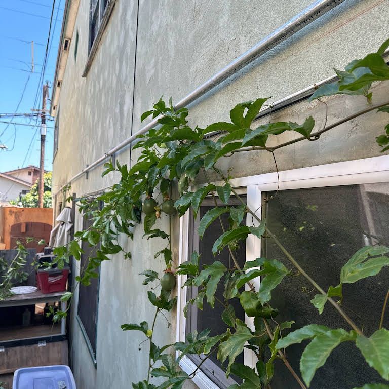 Pipes on the side of a building