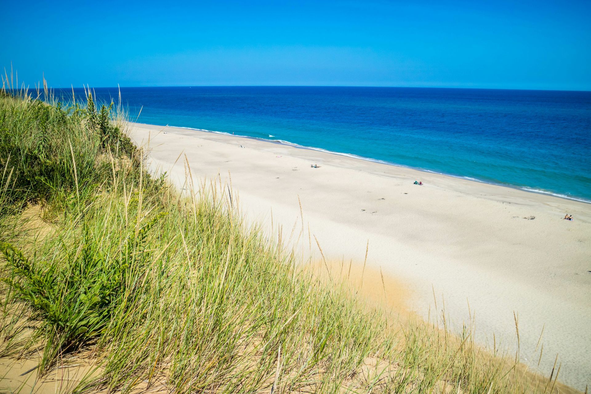 A view of a beach from a sand dune on a sunny day.