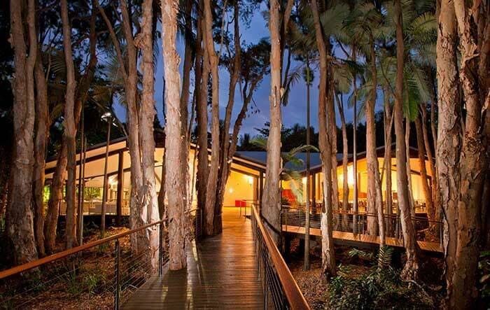 A Wooden Walkway Leading to a House in the Middle of a Forest — Coral Coast Building & Management in Cannon Valley, QLD