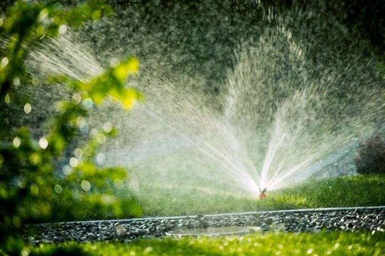 Sprinkler irrigation system near Fremont, California