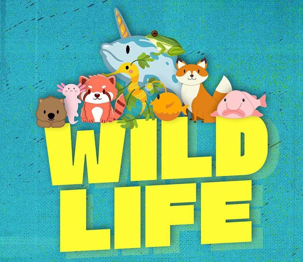 Wild Life Vacation Bible School