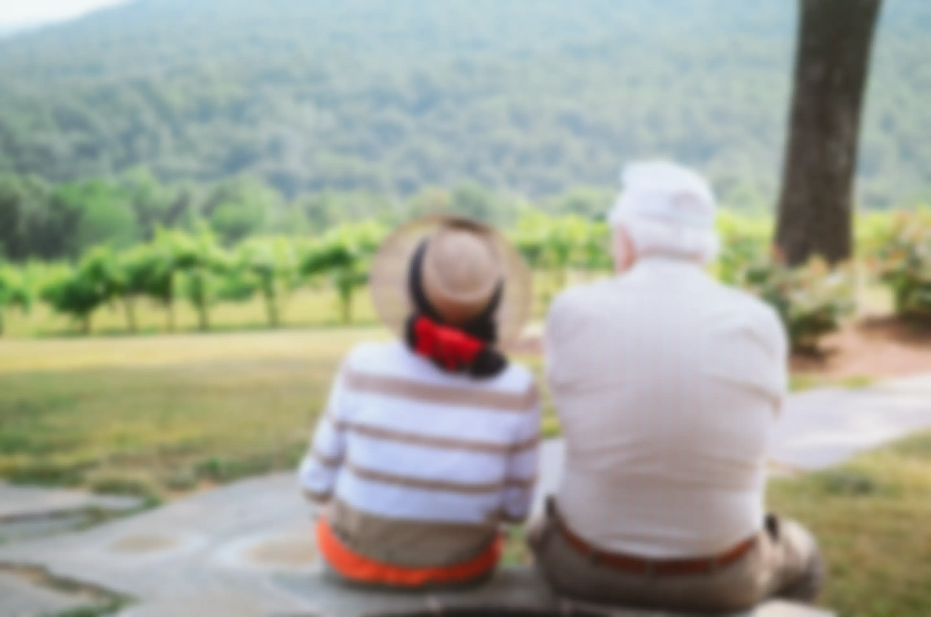 Two older adults seated, looking at a green landscape with rows of plants, possibly a vineyard.