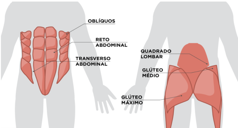 Músculos do CORE abdominal