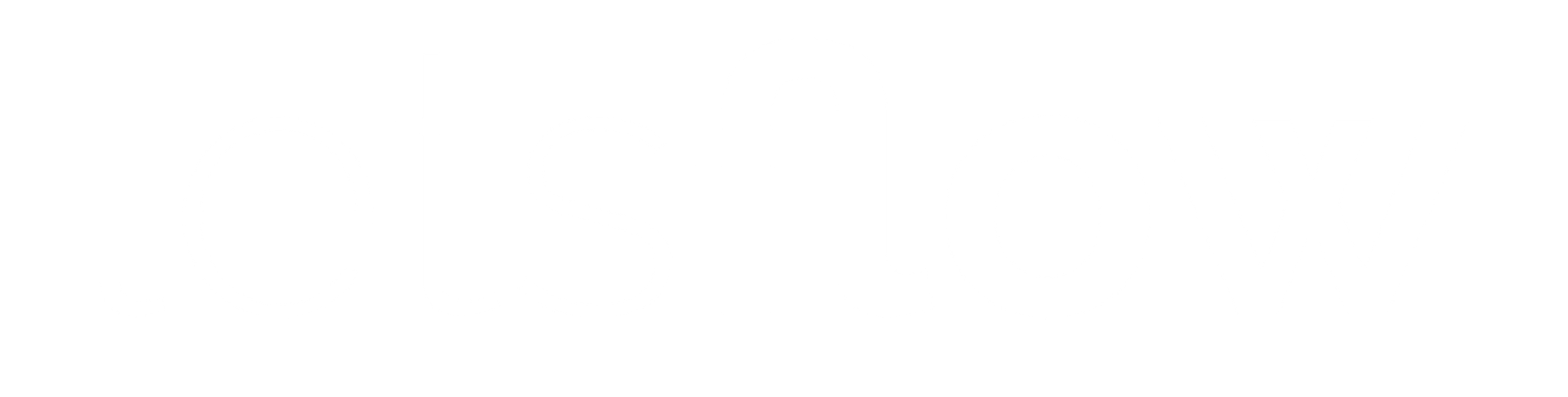 Logo letsflow 365