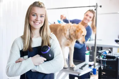 A young woman groomer smiles, holding a hairdryer; another woman grooms a golden retriever in a pet salon.