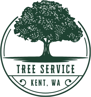 Pavers Construction and Tree Service B.V.J