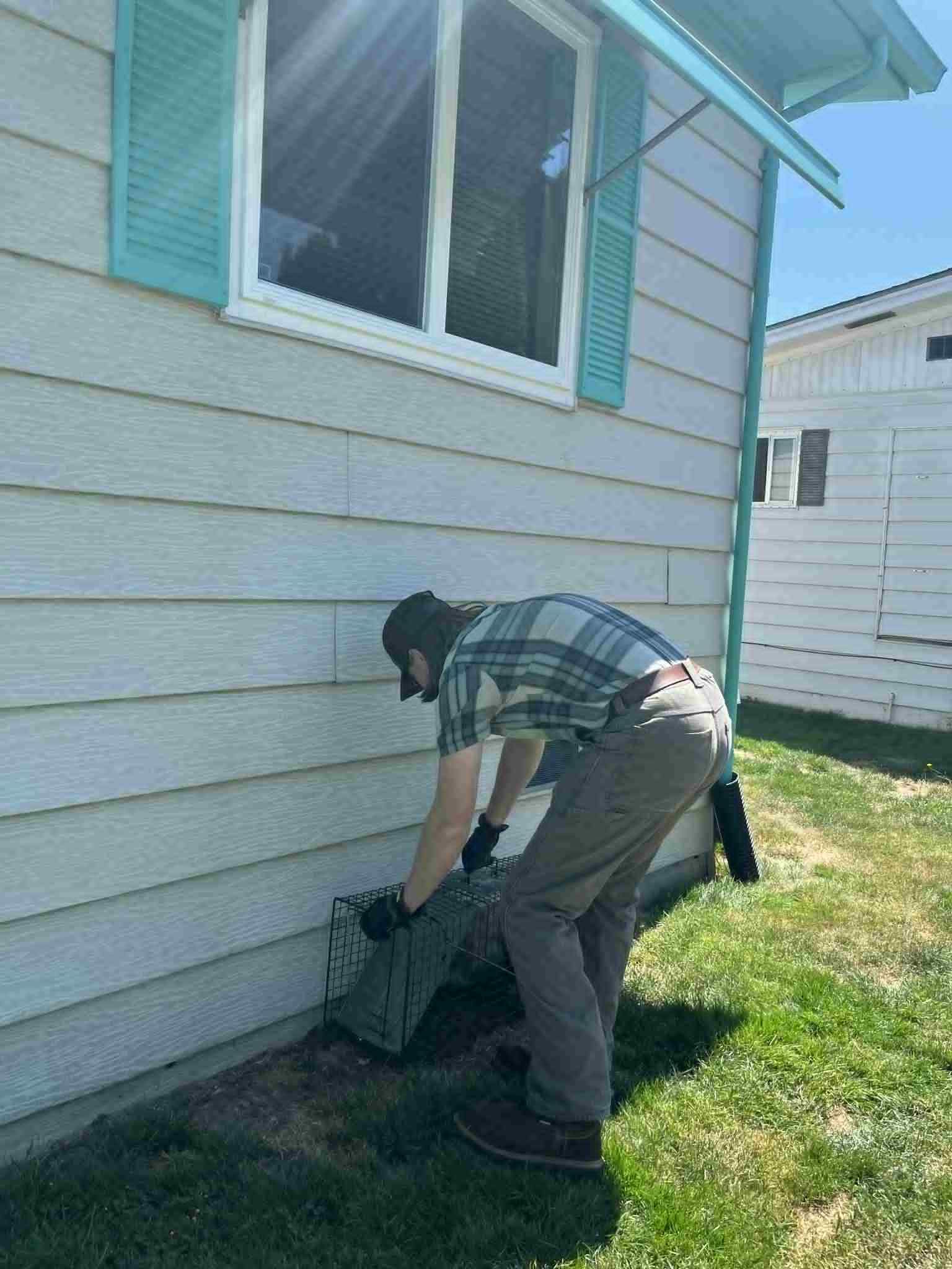 Man working on an object next to a light blue house with a window and teal shutters on a sunny day.