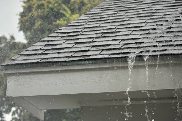 My Roof Leaks When It Rains, What Should I Do?