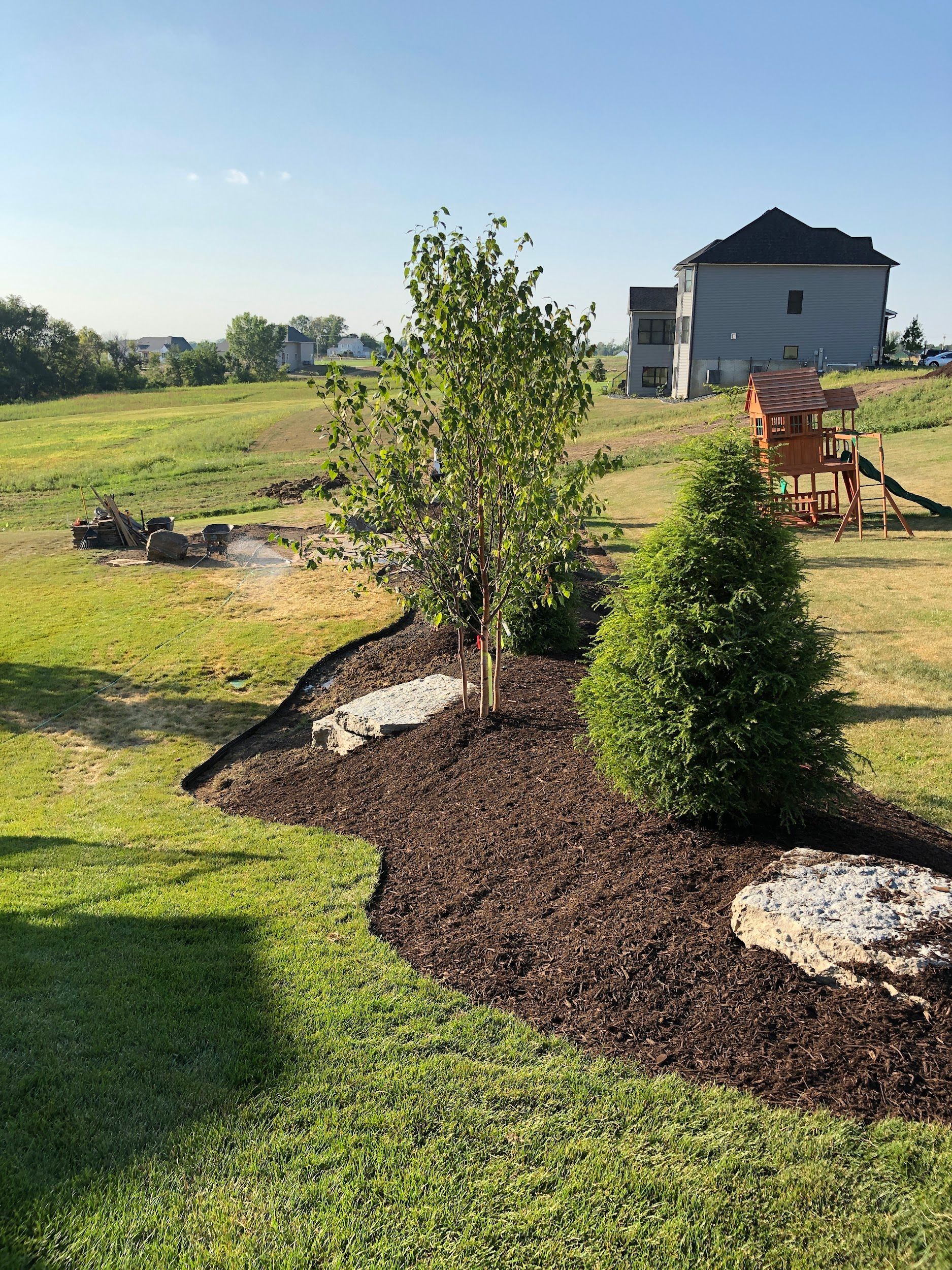 A backyard with a tree and bush in a mulch bed. A house and playground are in the background.