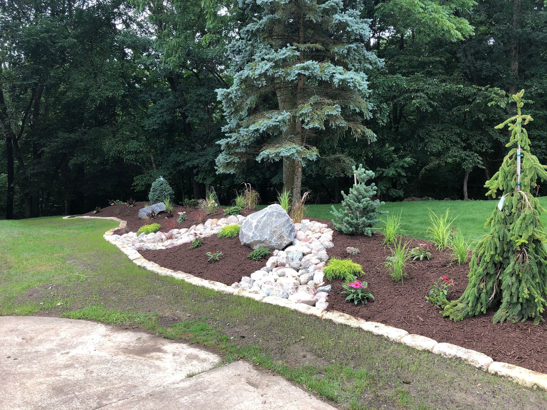 Landscaped garden bed with trees, rocks, and mulch bordered by tan edging.