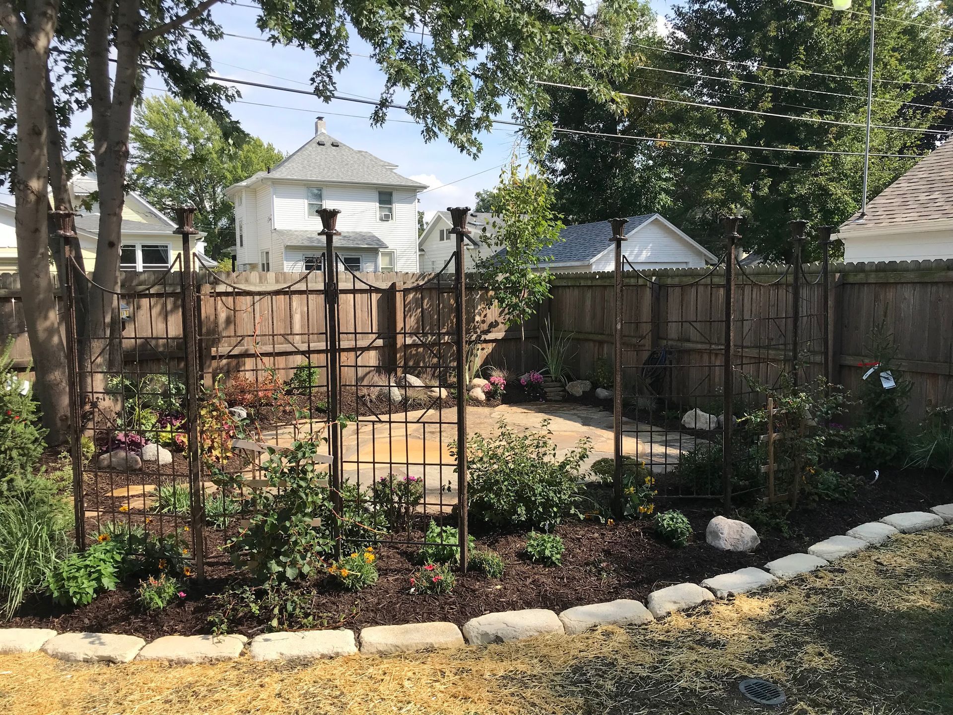 Backyard garden with brown fence, decorative metal trellis, and various plants.