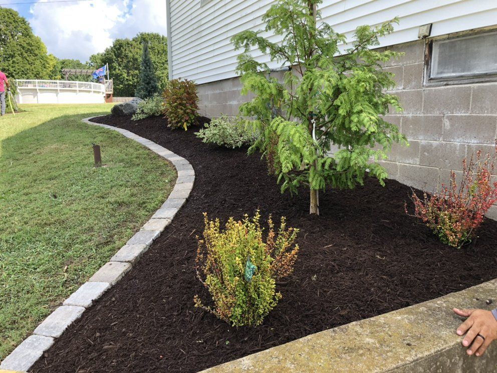 Landscaped garden bed with mulch and various plants along a house foundation.