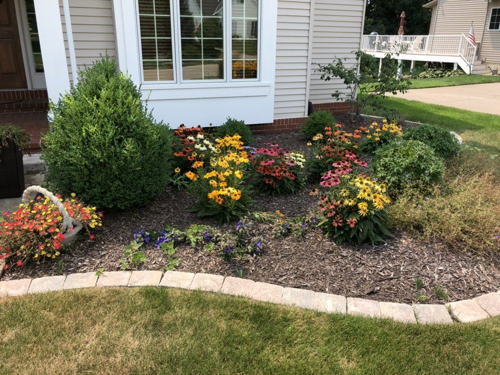 Flowerbed with colorful coneflowers, surrounded by a stone border in front of a house.