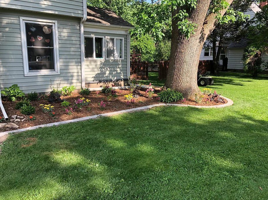 A house with a garden bed around a tree, edged with concrete. Green grass and a sunny day.