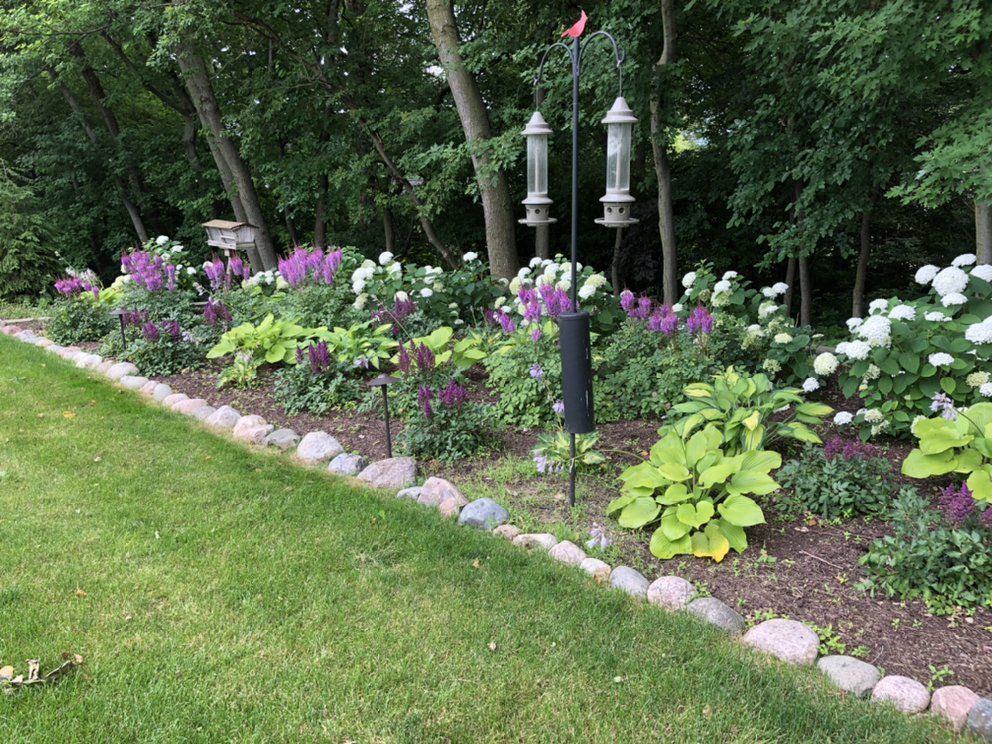 Flower garden border with purple, white, and green plants, bordered by stones, next to green grass.