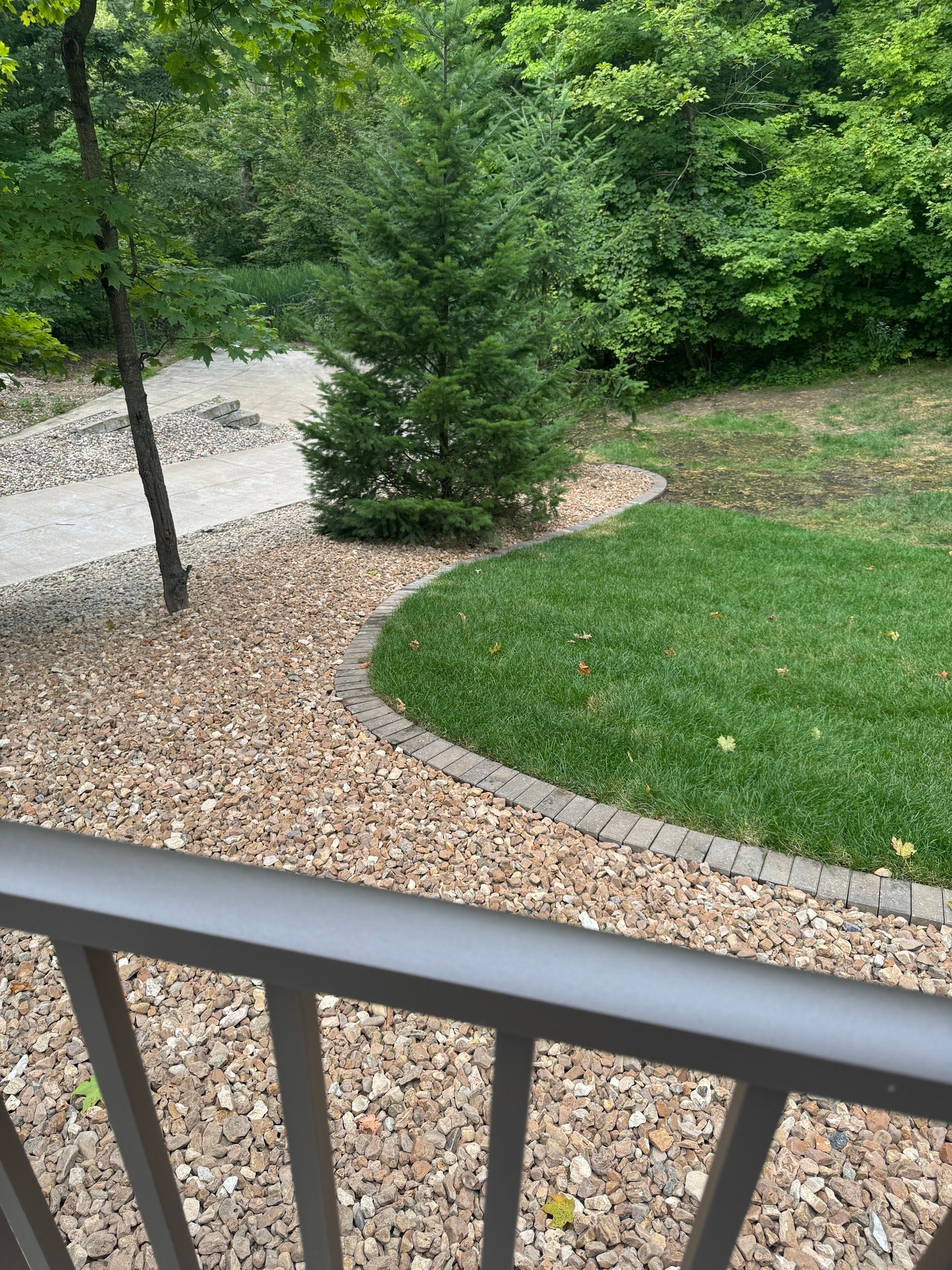 Brown gravel pathway and green lawn border a small tree, viewed over a metal railing.