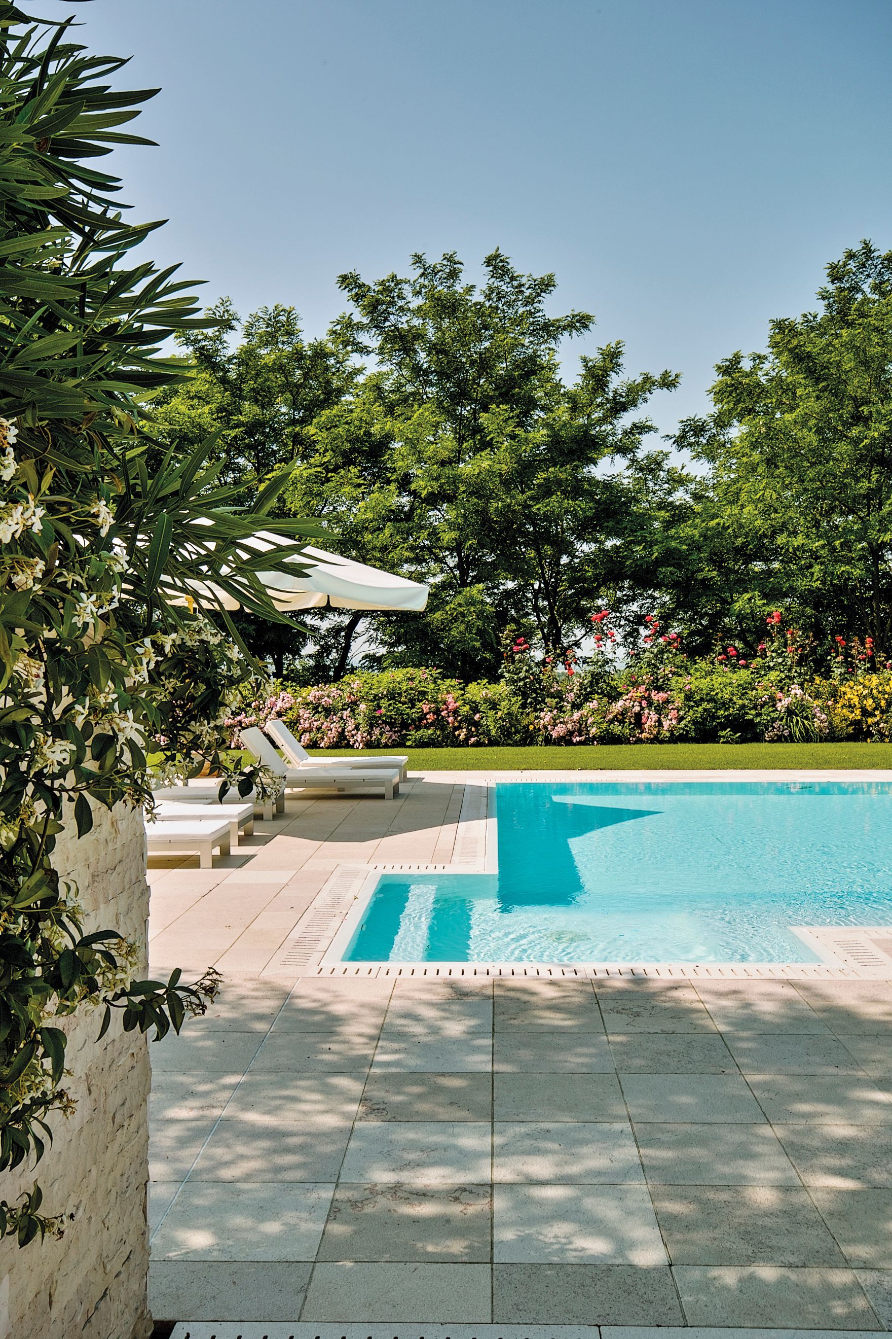 luxury backyard pool