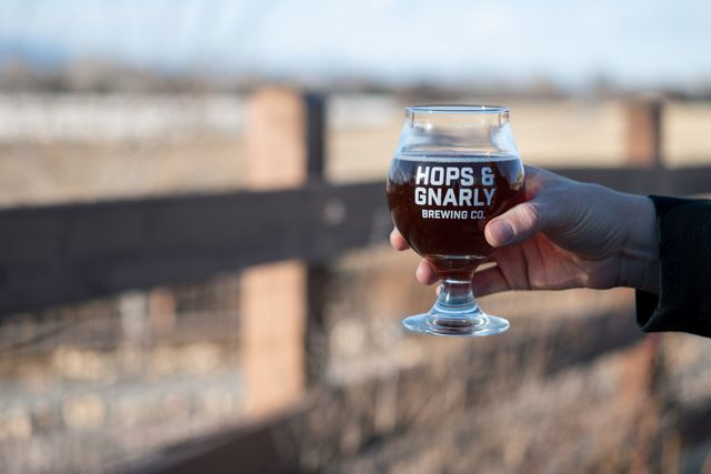 Hops on Hops Snifter Beer Glass, V2