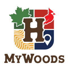 Logo of Carbon Compass with a leaf, compass design, and text, 