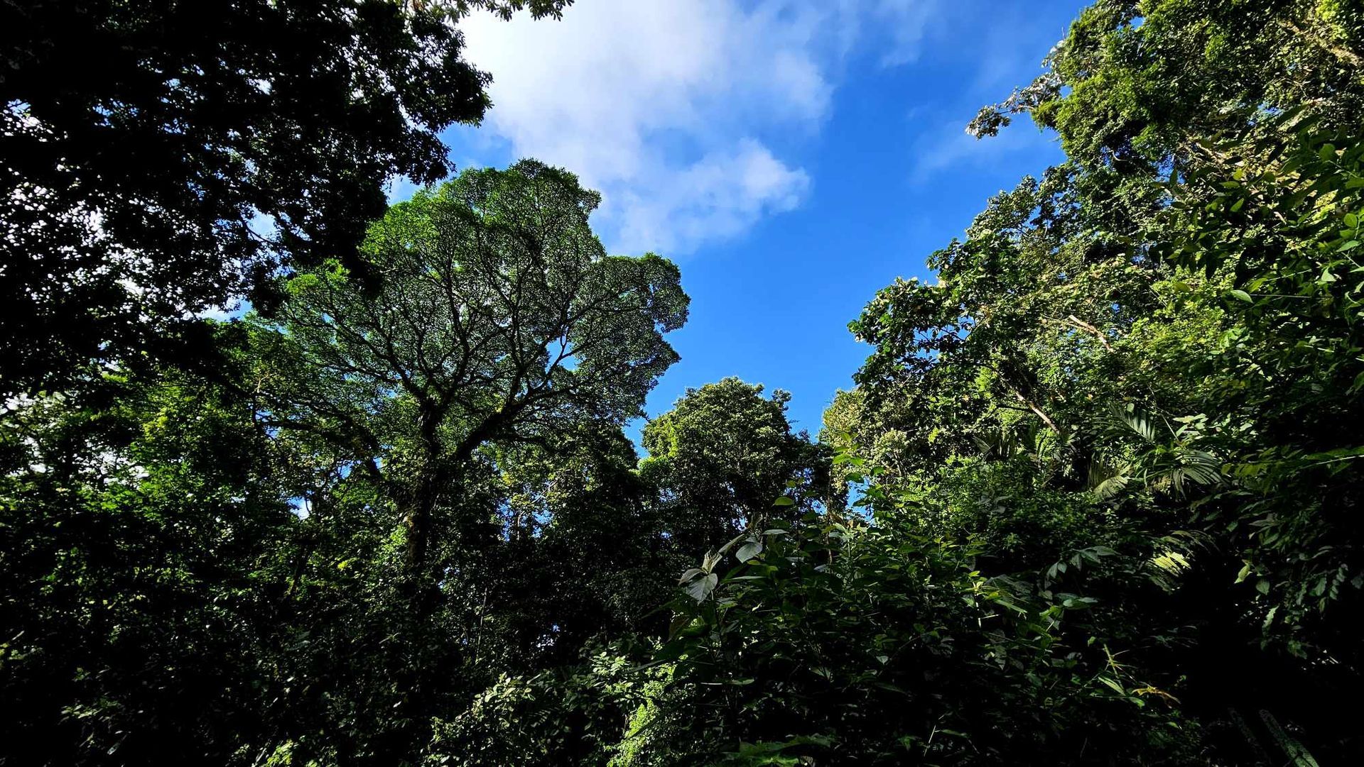 National Parks in Costa Rica