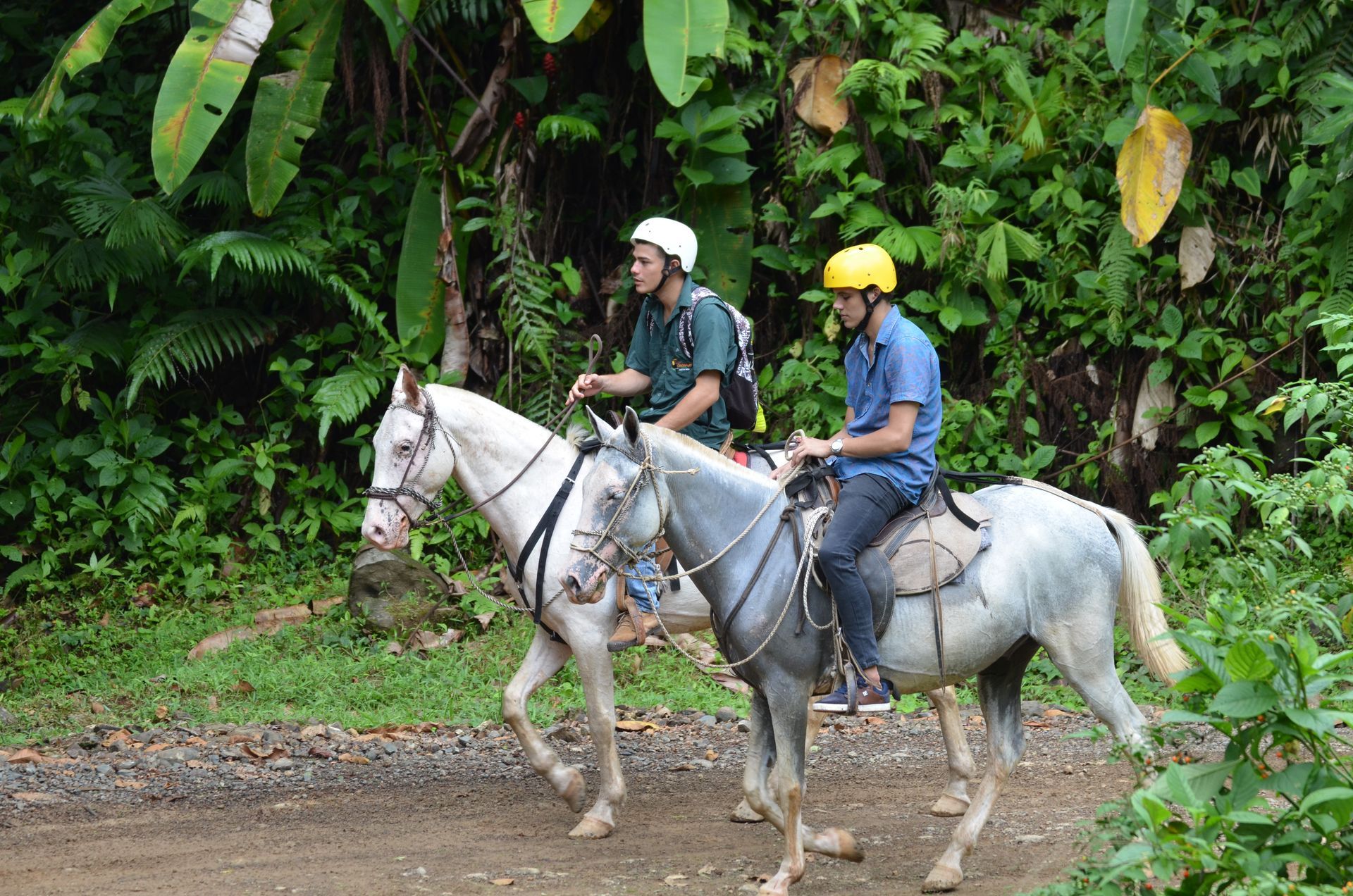 Horse riding
