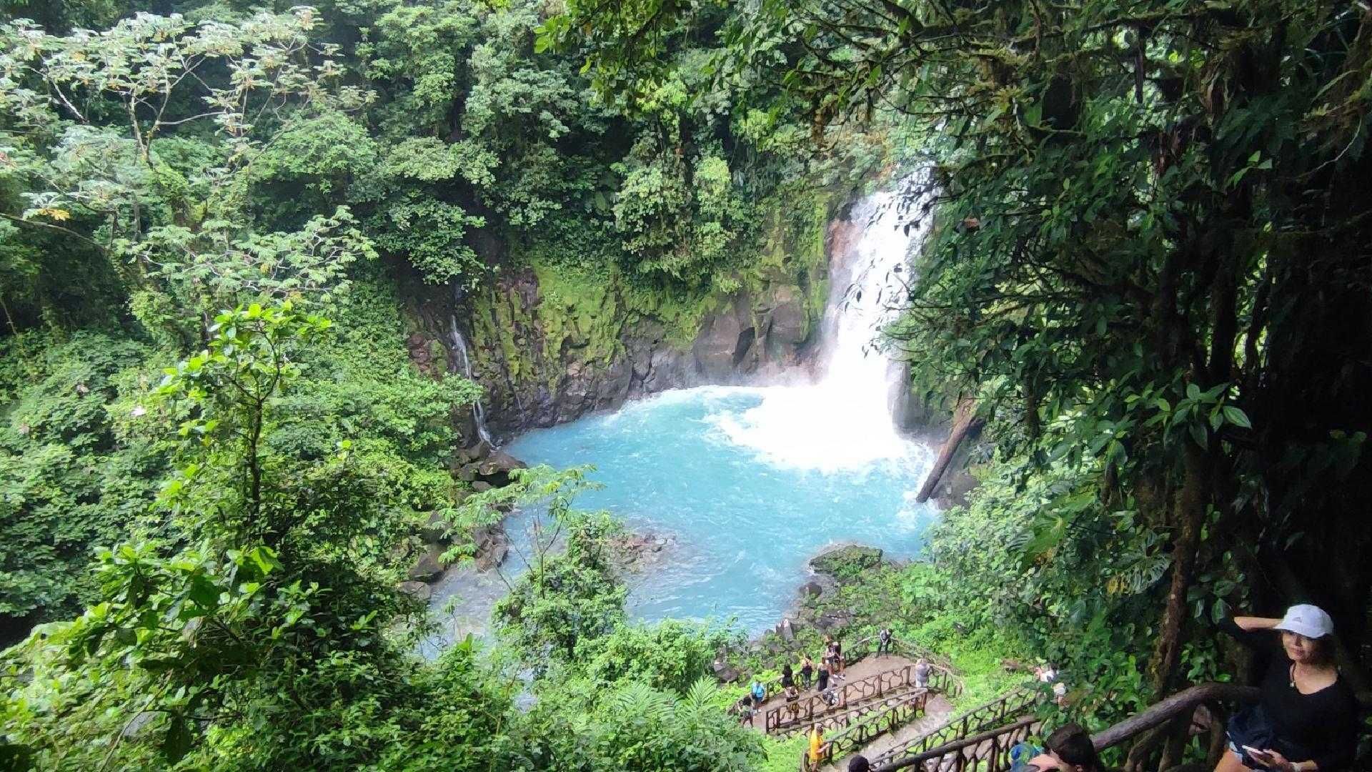 A waterfall in the middle of a lush green forest