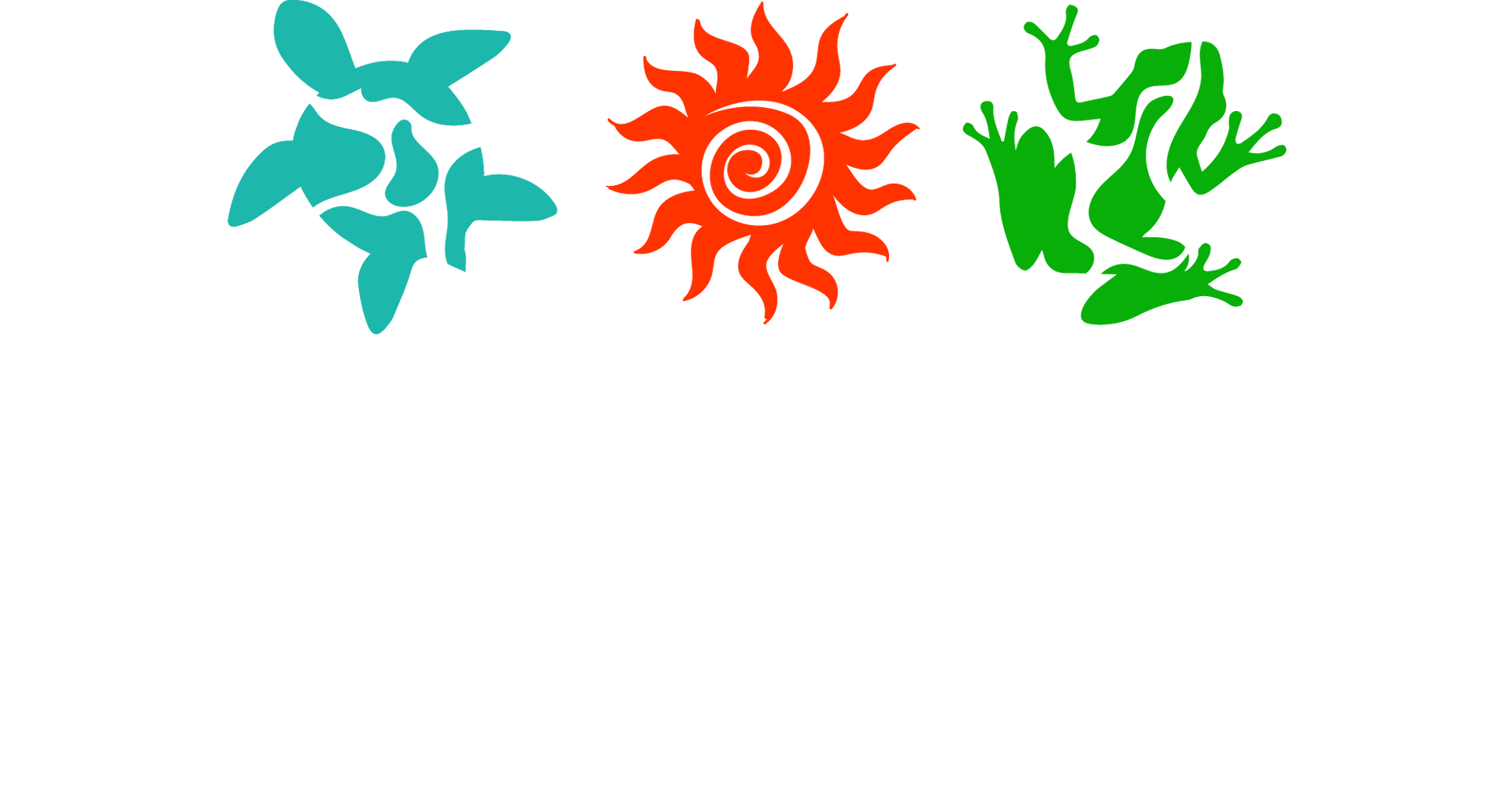 Costa Rica Travel Experience