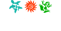 Costa Rica Travel Experience
