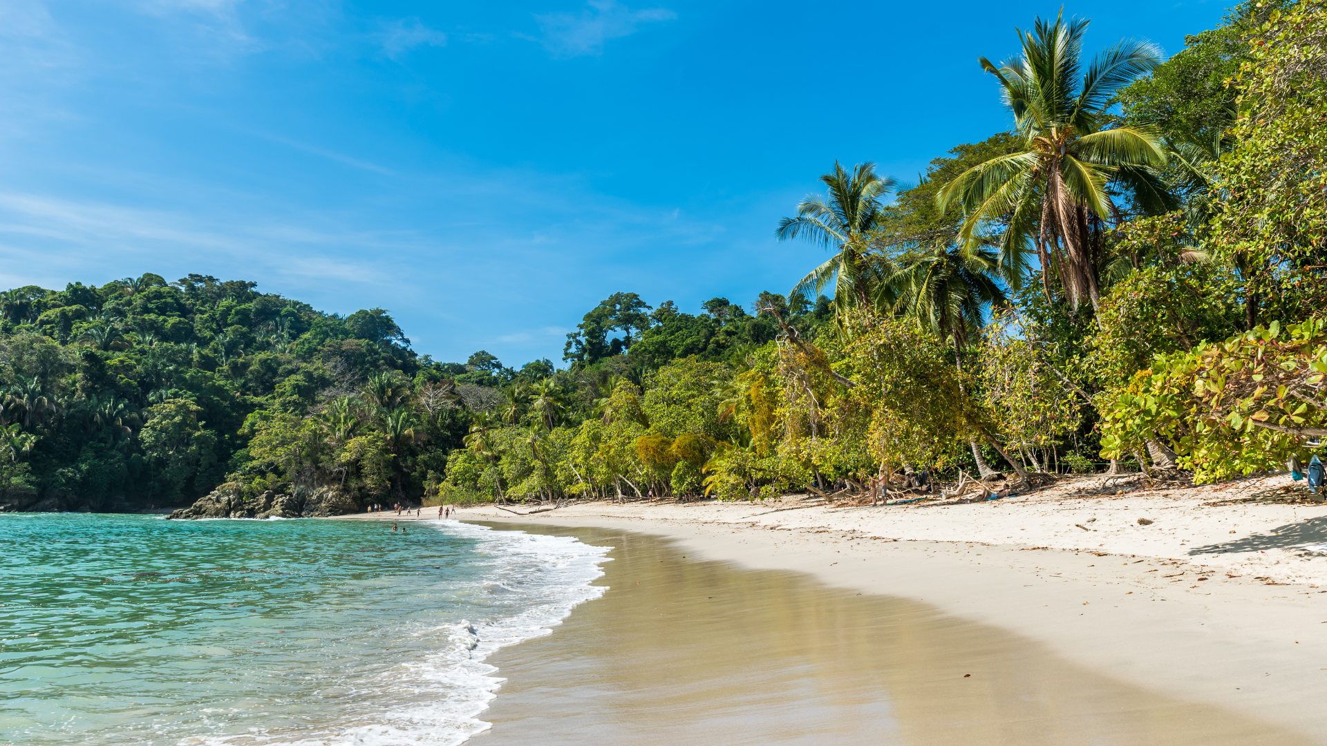 Caribbean vs. Pacific Coast