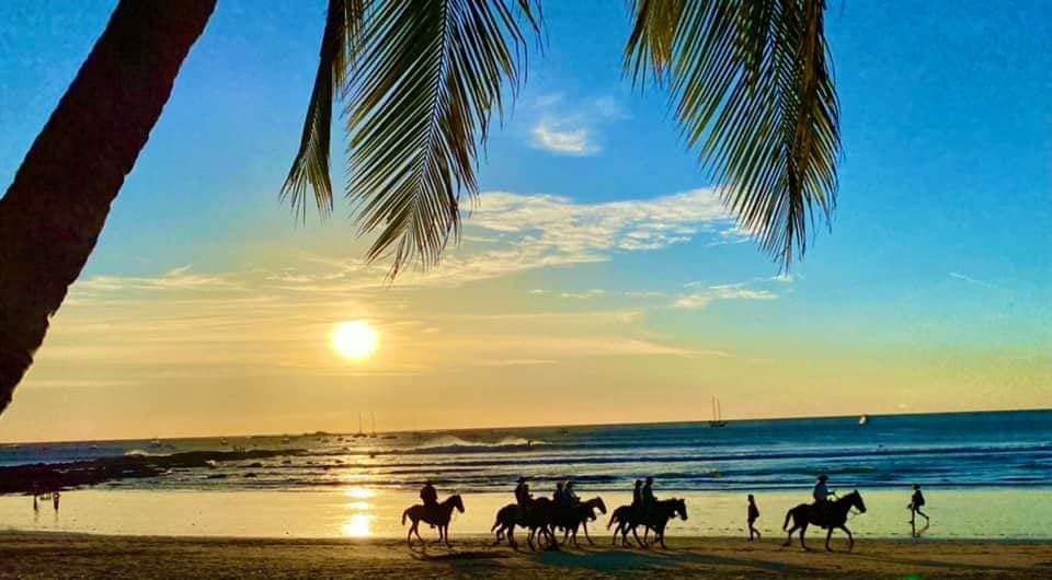 A group of people riding horses on a beach at sunset