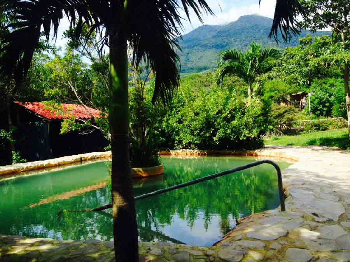 A swimming pool with a palm tree in the foreground and mountains in the background
