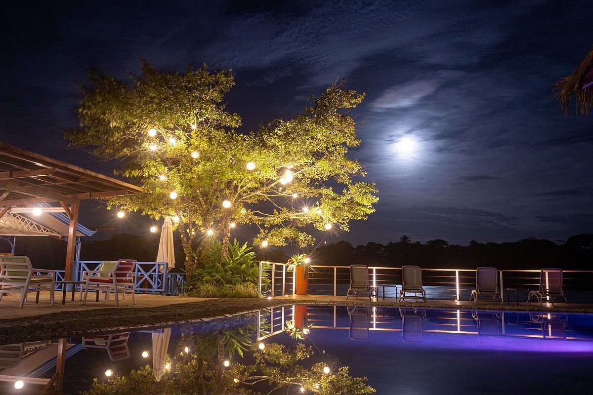 A swimming pool is lit up at night with a full moon in the background.