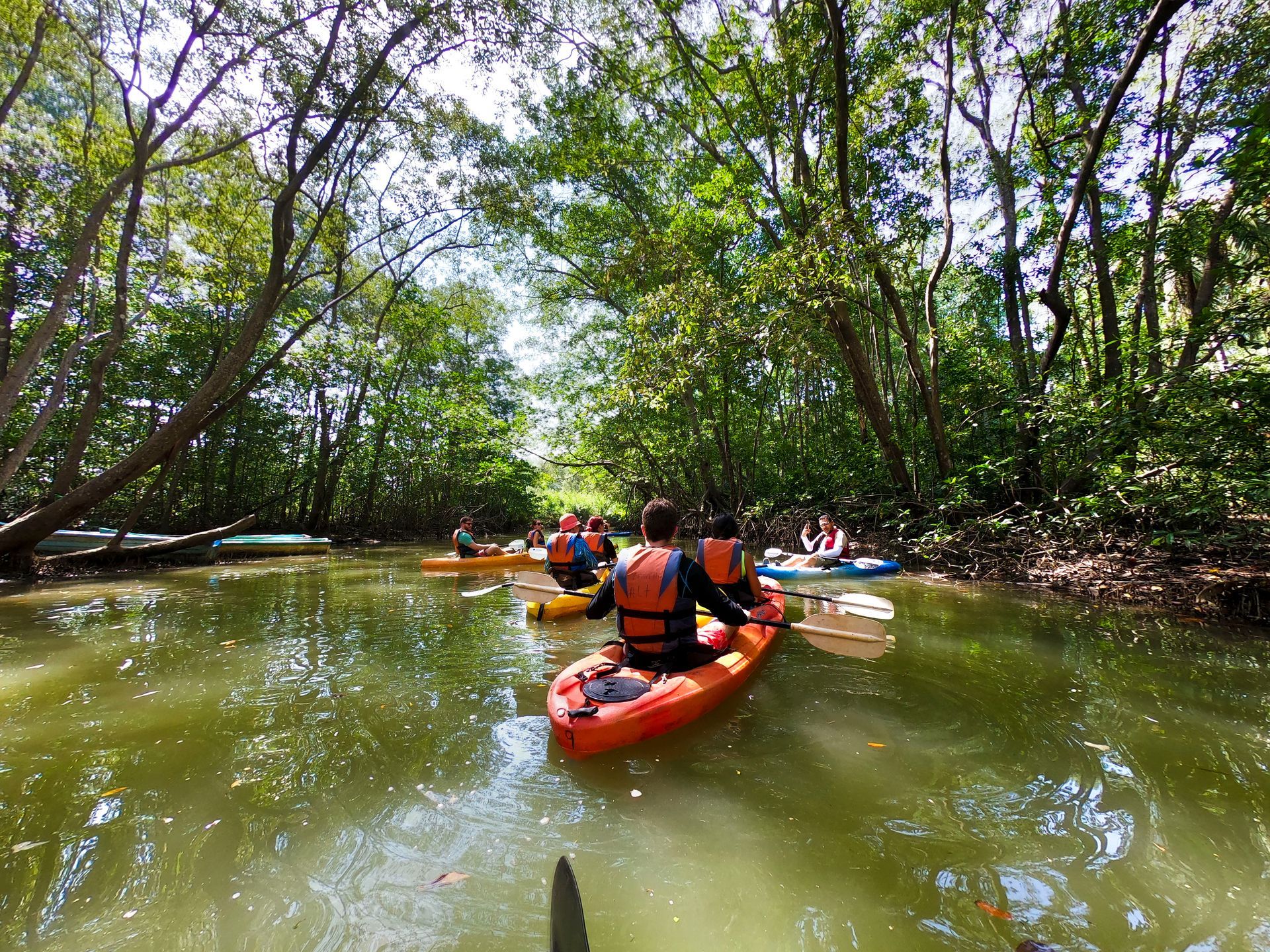 A group of people are riding kayaks down a river.