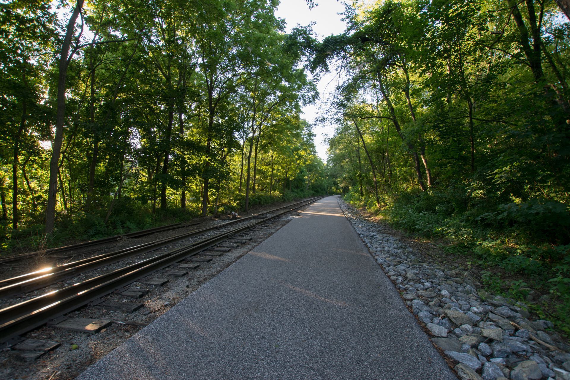CTA Image