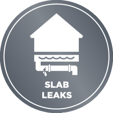 Alliance Leak Detection - Slab Leak Icon