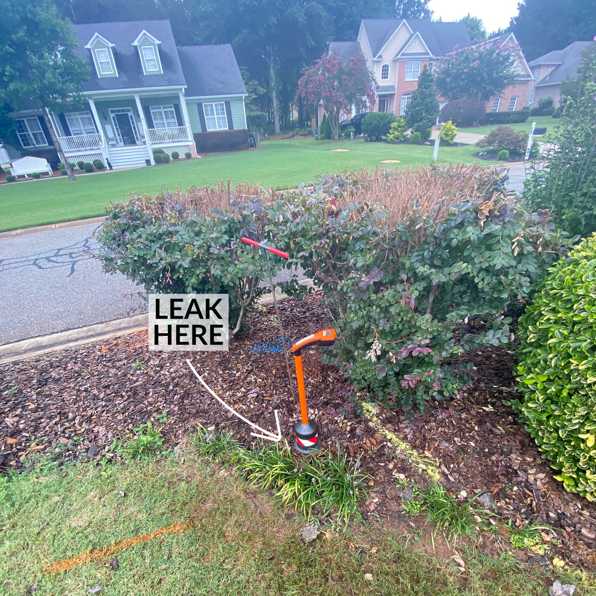 Outside Water Line Leak in Flower Bed