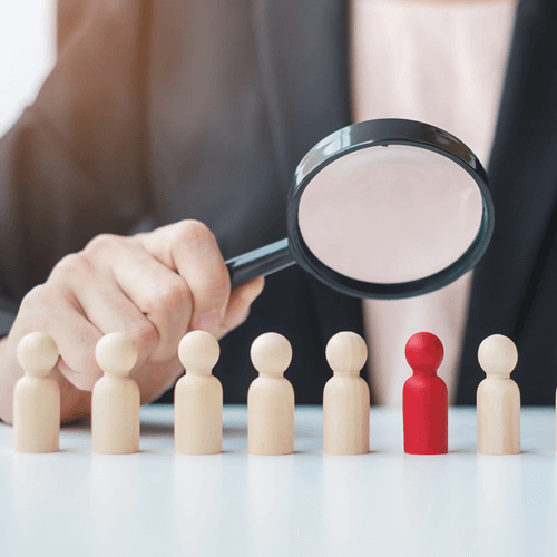 Surveillance Investigator