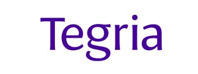 business intelligence consulting services client logo
