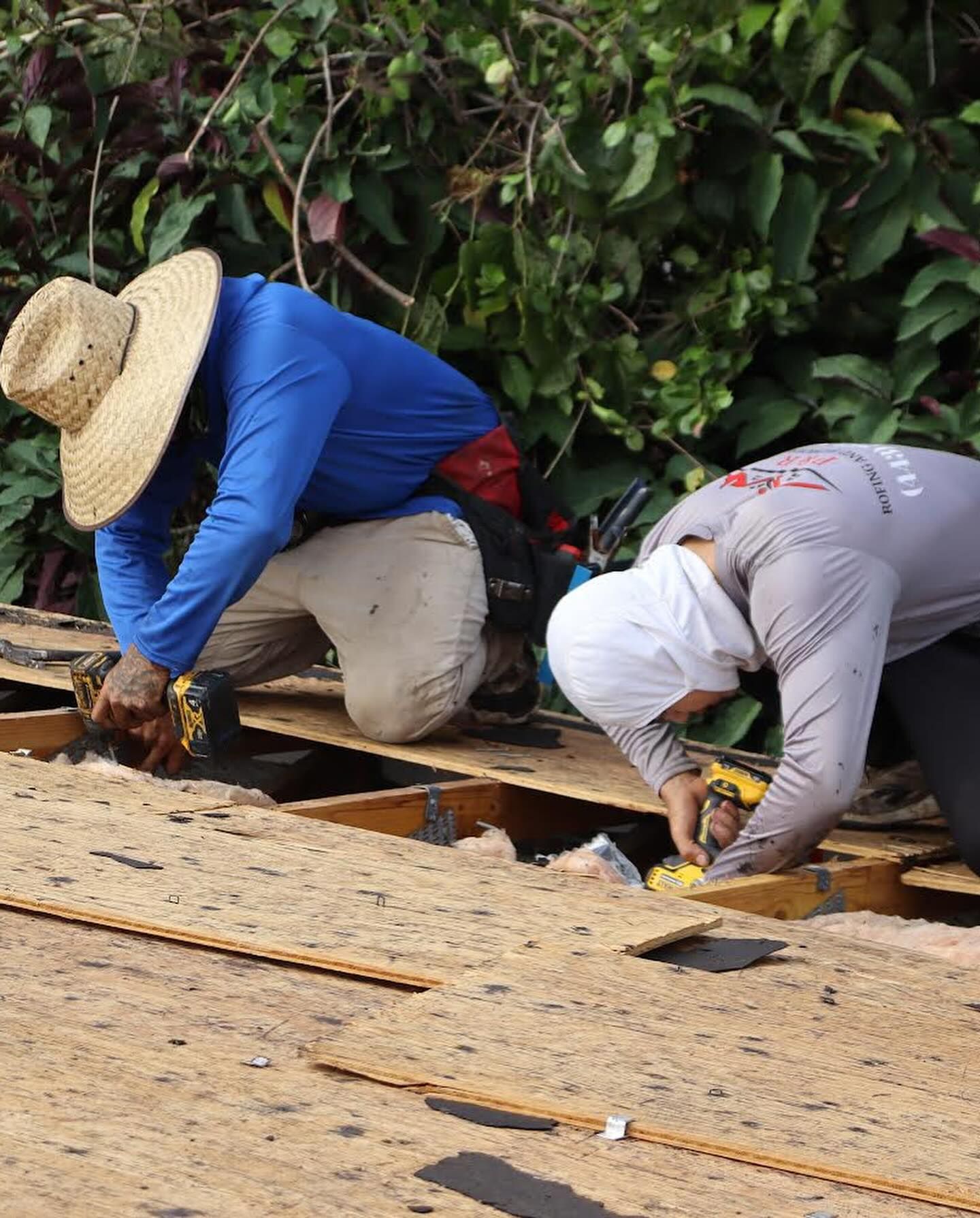 Two construction workers in long-sleeved shirts and head coverings use drills to install plywood decking on a roof.