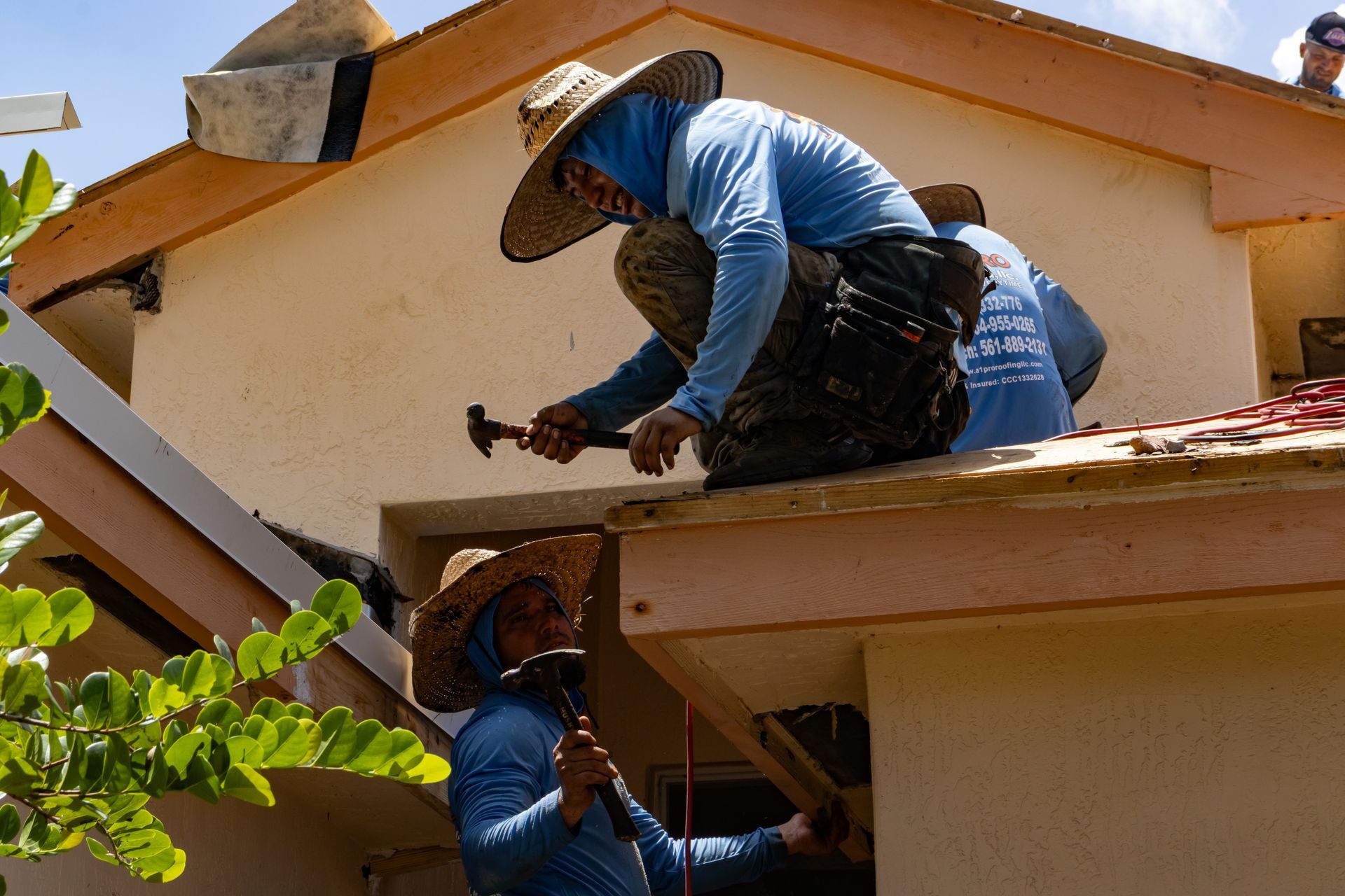 A high-angle view of a gray asphalt shingle roof on a sunny day, with a glimpse of a nearby house and backyard pool below.