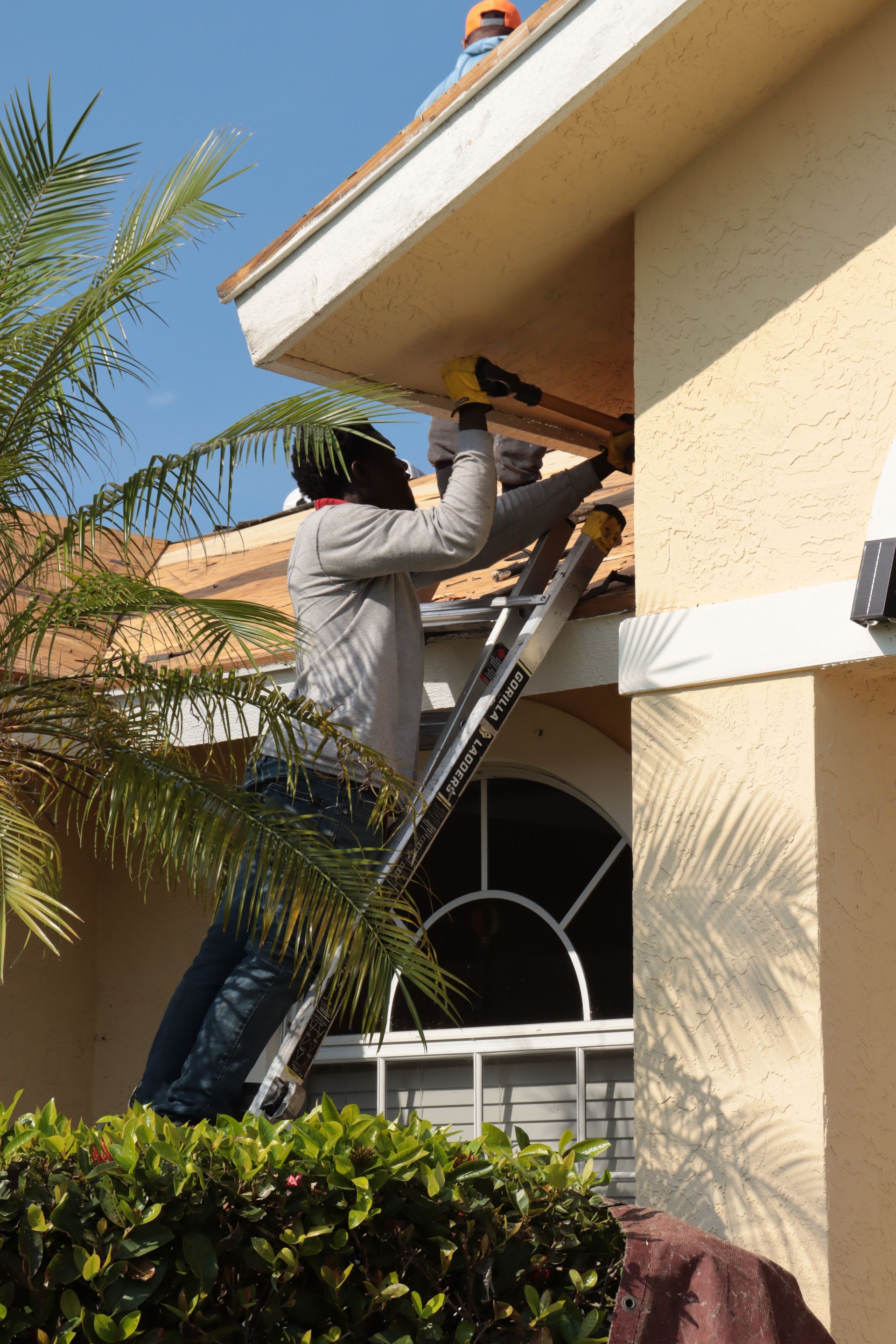 A high-angle view of a gray asphalt shingle roof on a sunny day, with a glimpse of a nearby house and backyard pool below.