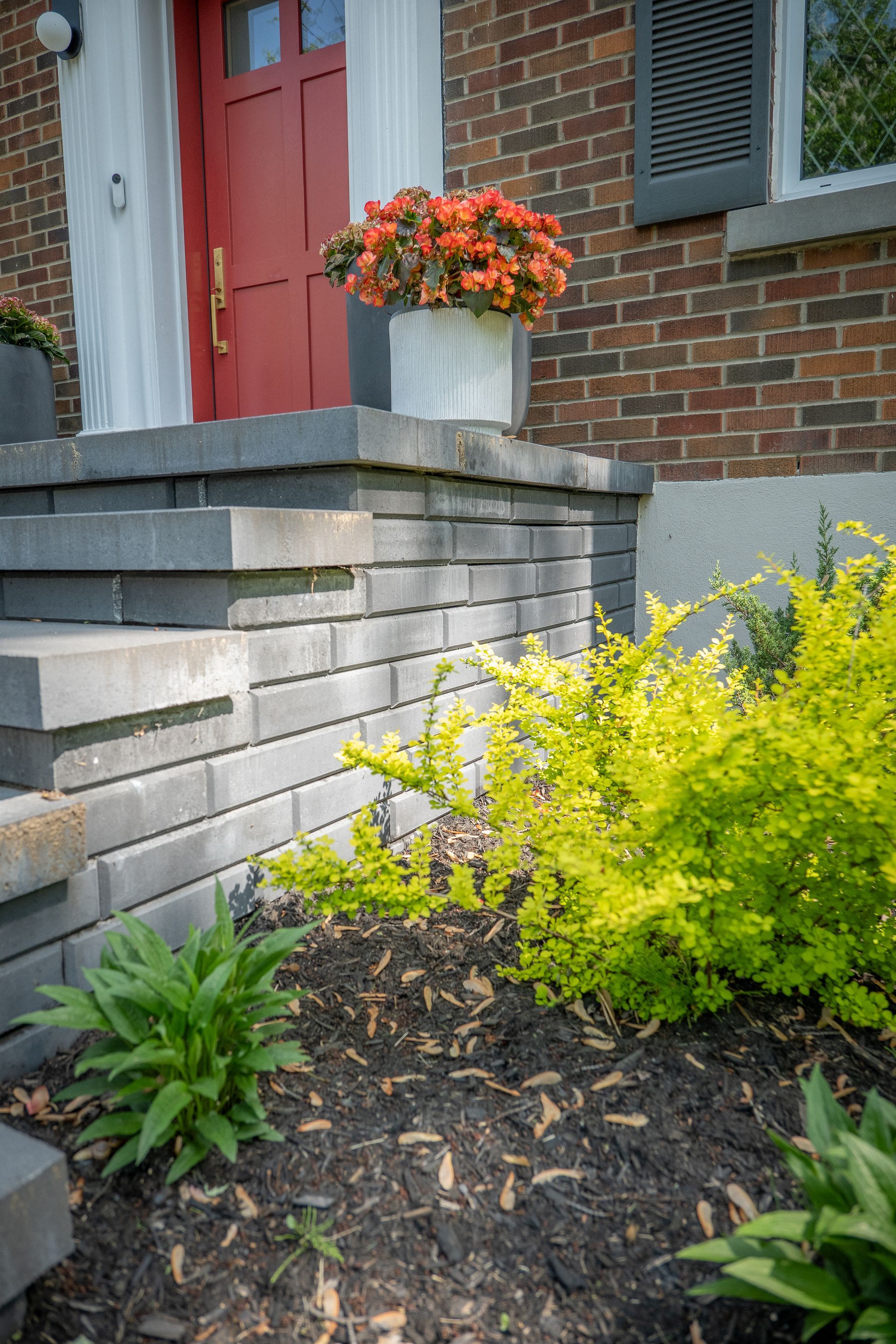 Une porte d'entrée rouge vif avec des marches en pierre grise, une jardinière blanche avec des fleurs orange et un buisson d'un jaune-vert éclatant.