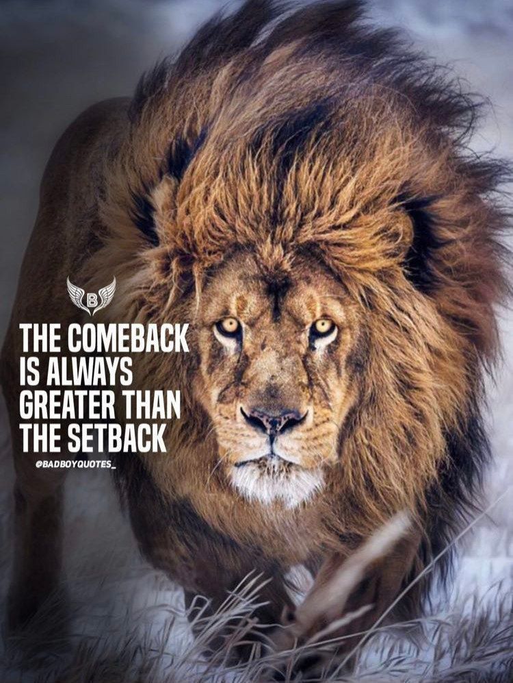 Een leeuw met een quote die zegt dat de comeback altijd groter is dan de tegenslag
