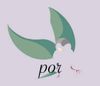 Logo porAymara Foundation Bird Green