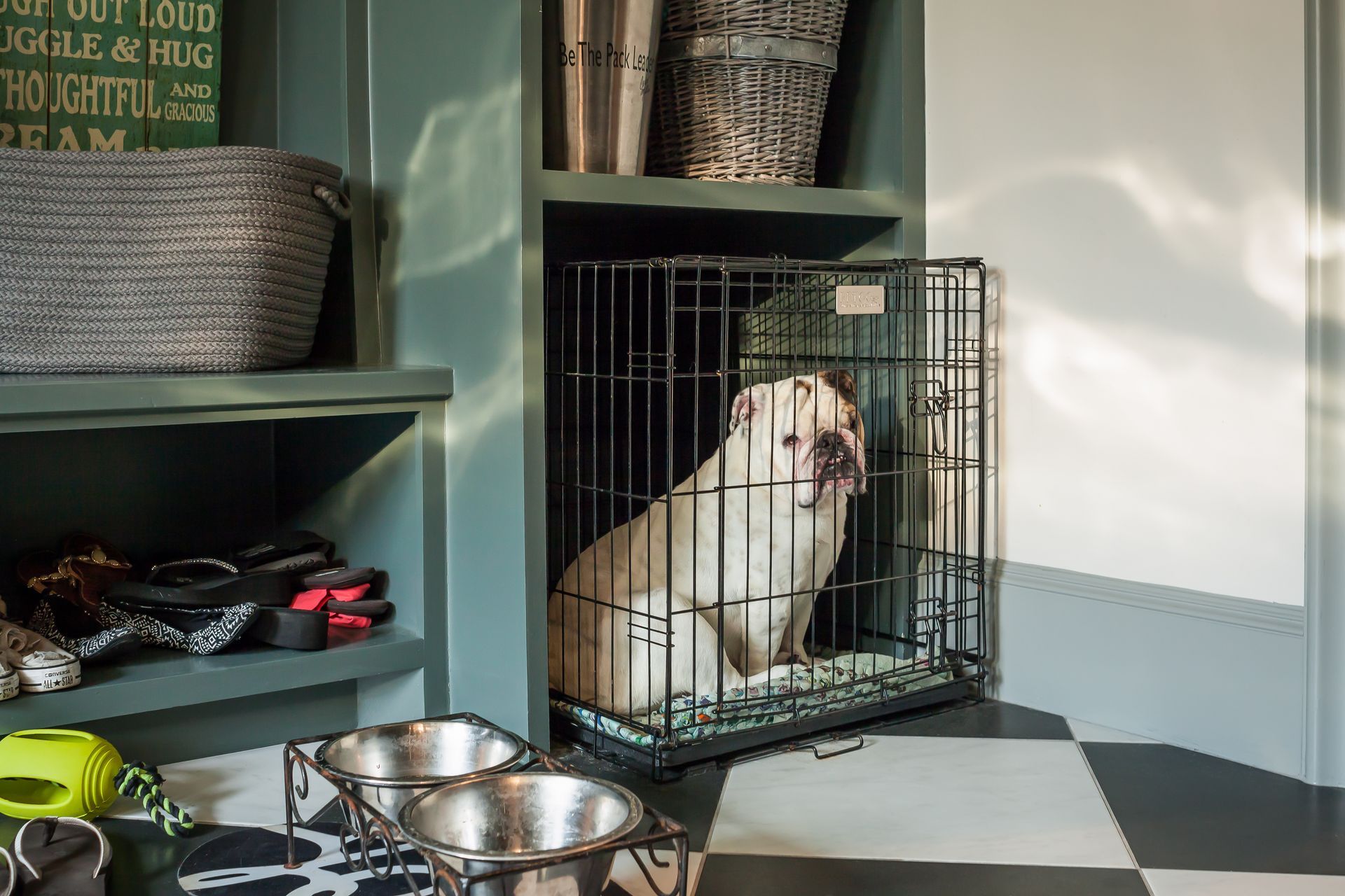 A dog is sitting in a cage in a room.