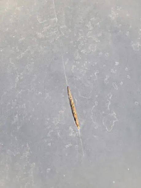 A before shot of residential roof damage in Hamilton, OH by Haubner Construction