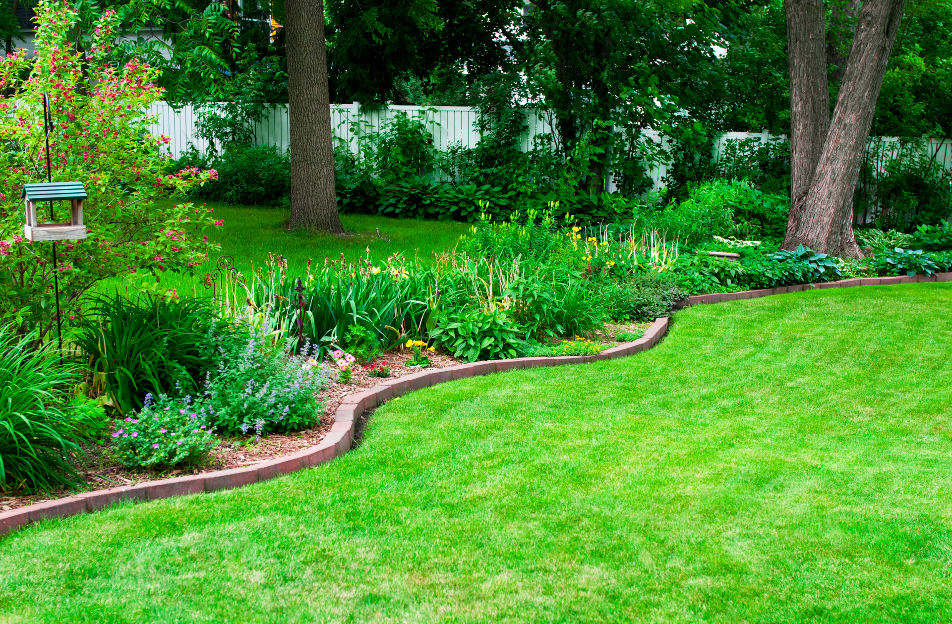 A lush green lawn with landscaping curbing and trees