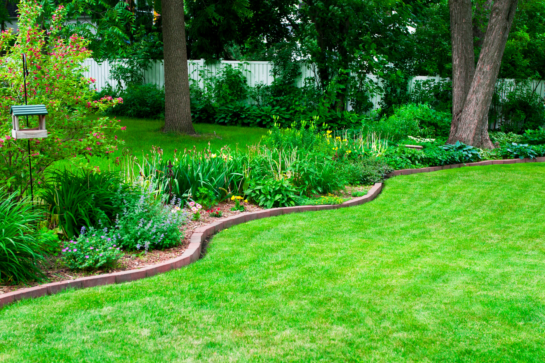 A lush green lawn edging and shrubs